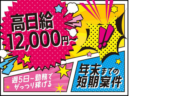 【代表原稿】株式会社カティンデーン（2ver）の求人メインイメージ