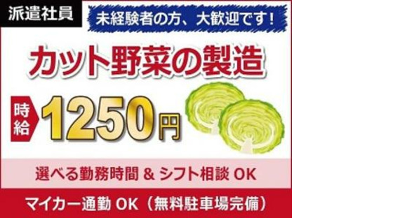 日本ケイテム/5334の求人情報ページへ