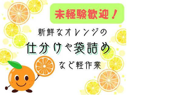 ヤマト・スタッフ・サプライ株式会社(みやま)/12432の求人情報ページへ