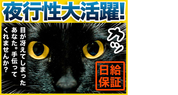 シンテイ警備株式会社 成田支社 井野(千葉)(4)エリア/A3203200111の求人情報ページへ