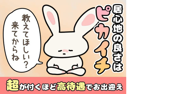 シンテイ警備株式会社 茨城支社 我孫子(21)エリア/A3203200115の求人情報ページへ