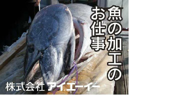 株式会社アイエーイー/6130bの求人情報ページへ