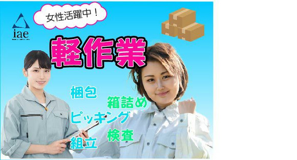 株式会社アイエーイー/5919bの求人情報ページへ