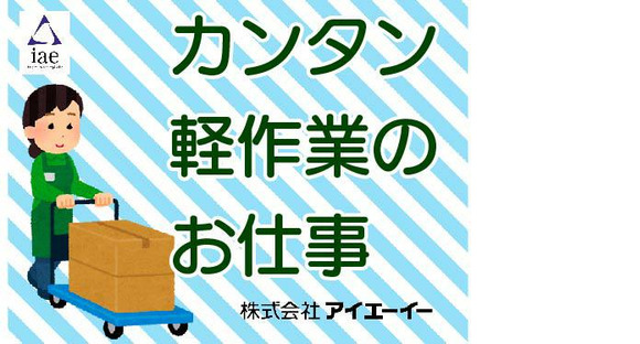 株式会社アイエーイー/5201gの求人情報ページへ