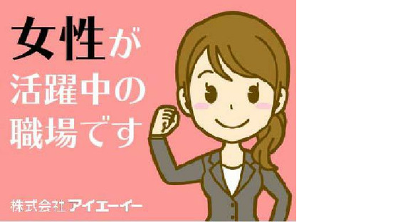 株式会社アイエーイー/4662bの求人情報ページへ