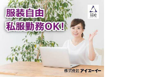 株式会社アイエーイー/4162dの求人情報ページへ