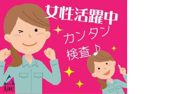 株式会社アイエーイー/3346bの求人情報ページへ