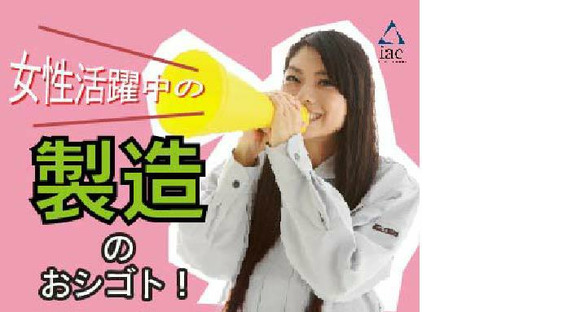 株式会社アイエーイー/3072bの求人情報ページへ