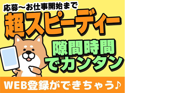 エヌエス・ジャパン株式会社　野木エリア(朝)/om07の求人情報ページへ