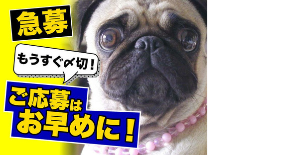 ヤマト・スタッフ・サプライ株式会社(狭山広瀬台)/15300の求人情報ページへ