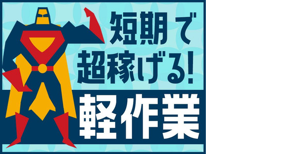 株式会社エヌエフエー_2505 _1164・1165_09の求人情報ページへ