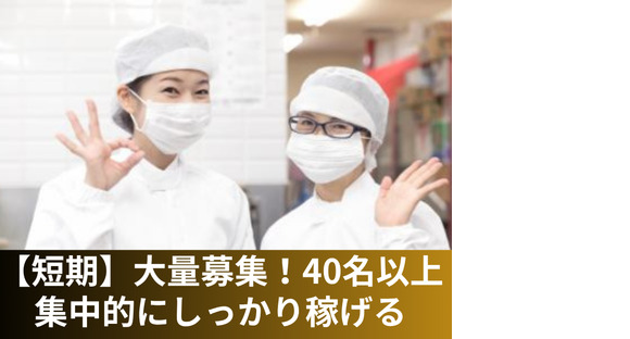株式会社デリス【033】の求人情報ページへ