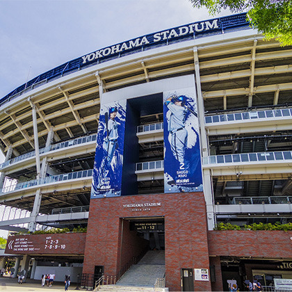 横浜DeNAベイスターズを応援の仕事の流れイメージ