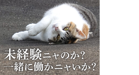 UTエージェント株式会社(関東CS_さいたま・京浜AU)《AURTA》URT川崎エリア_Aの求人情報ページへ