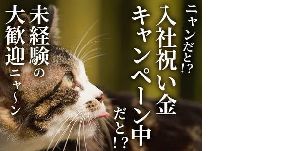 UTエージェント株式会社(関東CS_さいたま・京浜AU)《AURUA》URU_豊田エリア_Gの求人情報ページへ