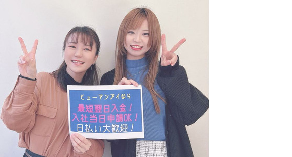 株式会社ヒューマンアイ/C00287の求人情報ページへ