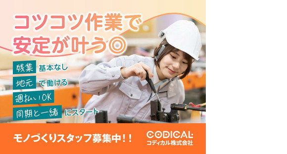 コディカル株式会社/物流倉庫/半導体製品の受入・出荷作業の求人情報ページへ