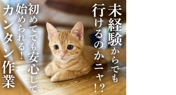 三陽工業株式会社 S2_瓦町エリア/派愛の求人情報ページへ