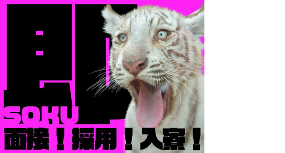 大真綜合警備保障株式会社 ※綾瀬市エリア(04)Bの求人情報ページへ