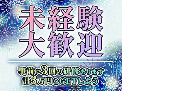 シンテイ警備株式会社 川崎支社 新横浜(大井)31エリア(夏のイベント)/A3203200110の求人情報ページへ