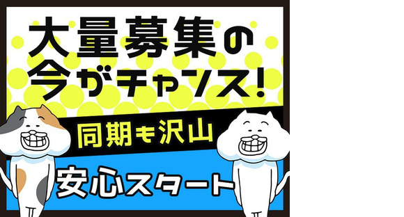 シンテイ警備株式会社 柏支社 上野(6)エリア/A3203200128の求人情報ページへ