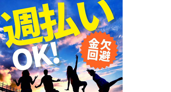 シンテイ警備株式会社 松戸支社 葛西・西葛西・船堀(49)エリア/A3203200113の求人情報ページへ