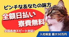 株式会社CATS（名古屋）の求人イメージ