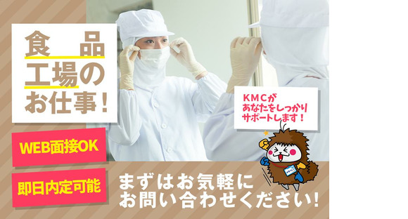 株式会社ケイエムシー_上野芝87/60uedaの求人情報ページへ