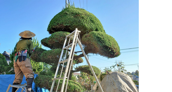 BIGTREESの求人メインイメージ