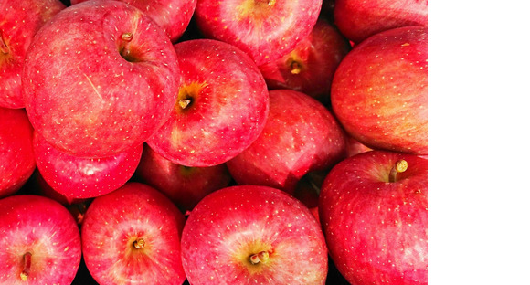 ハコブ株式会社の求人メインイメージ