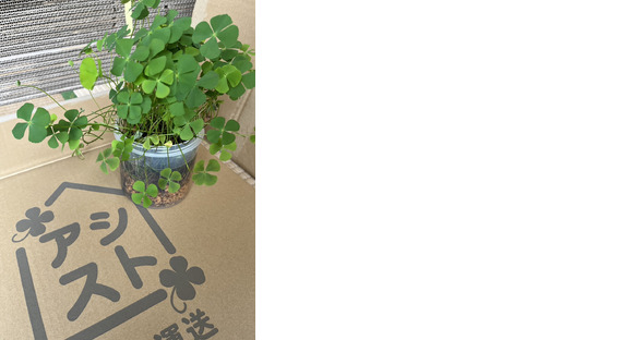 アシスト株式会社の求人情報ページへ