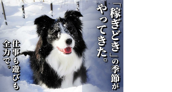 シンテイ警備株式会社 埼玉支社 北大宮・鉄道博物館(9)エリア/A3203200103の求人情報ページへ