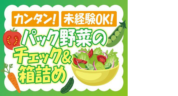 株式会社トーコー神戸支店/KBMM26517755の求人情報ページへ