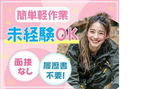 株式会社プロスタッフ　小型モーター組立・加工・検査②（2507kr001）の求人情報ページへ