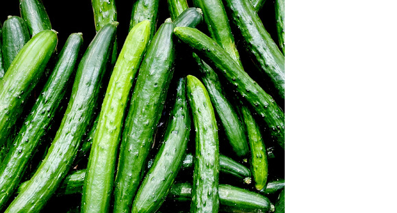 あいち中央農業協同組合　営農部園芸課の求人情報ページへ