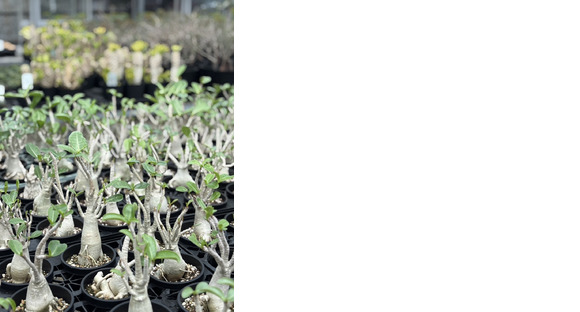 株式会社三浦商事の求人情報ページへ