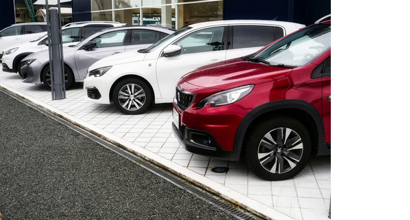 株式会社エレベートの求人情報ページへ