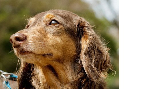 株式会社ANFiRiSEの求人メインイメージ