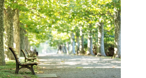 株式会社ユキ・グリーンの求人メインイメージ