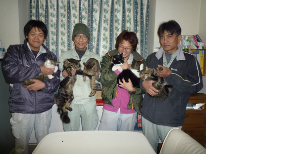 有限会社システムハーツの求人情報ページへ