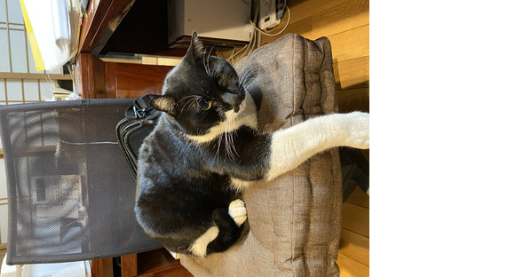 有限会社システムハーツの求人情報ページへ