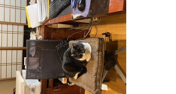 有限会社システムハーツの求人情報ページへ