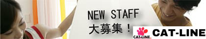 CAT-LINE Co., Ltd.