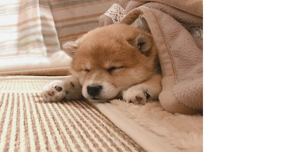 株式会社プラス・ワンの求人メインイメージ