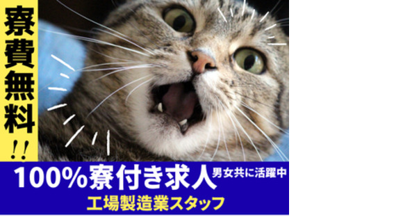株式会社myteams