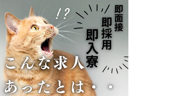 株式会社myteams