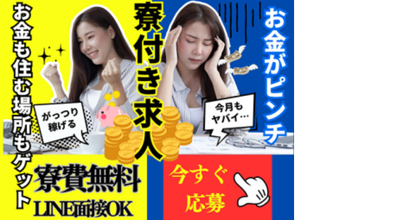 株式会社myteams
