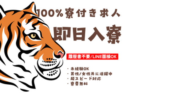 株式会社myteams