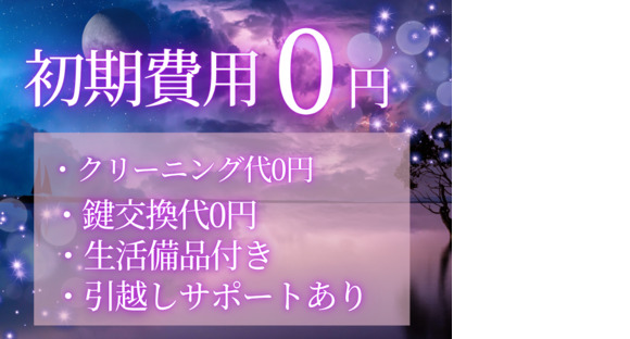株式会社myteams