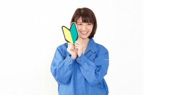 株式会社エイビス (239)